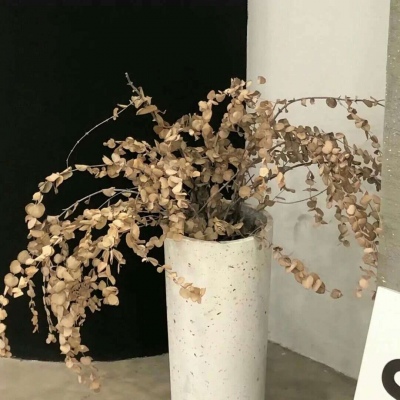 Furry插画风格解析FurryQQ群